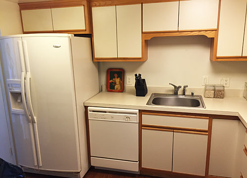 condo view down river