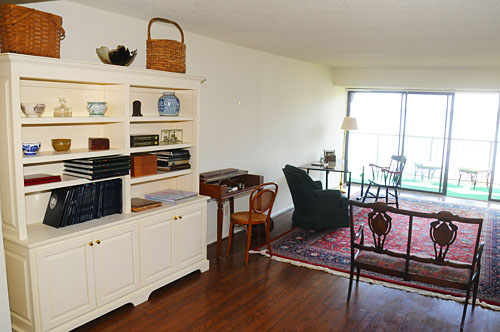 condo view down river